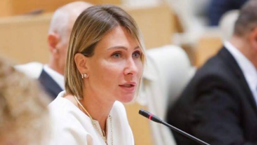 დეპუტატი ნინო წილოსანი დეპუტატი ნინო წილოსანი