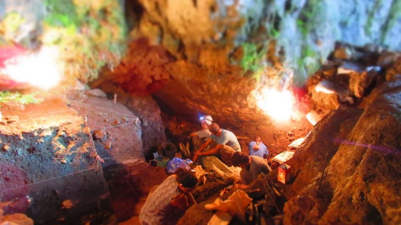 მუზეუმი