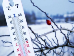 ამინდი   - ყინვა