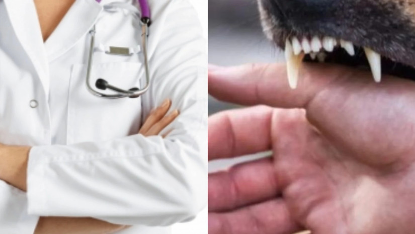 ძაღლის ნაკბენი