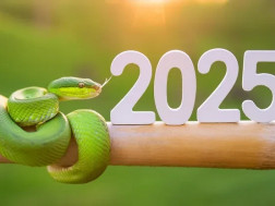 2025 წელი2025 წელი