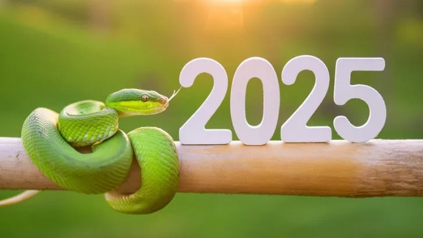 2025 წელი2025 წელი