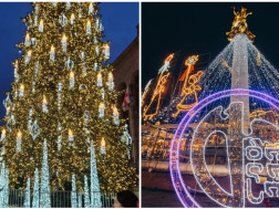  ნაძვის ხე