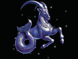 თხის რქათხის რქა