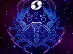 კირჩხიბიკირჩხიბი