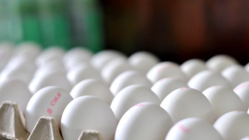  კვერცხი და ხორცპროდუქტები