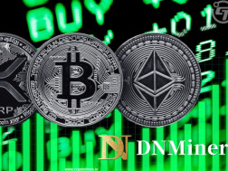 crypto                   