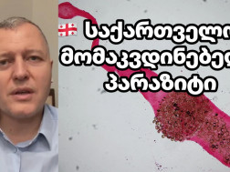 გიორგი ფხაკაძე