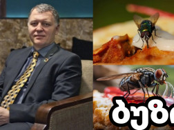 გიორგი ფხაკაძე 