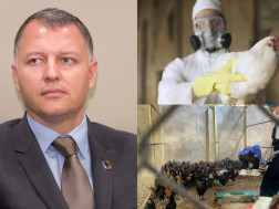 გიორგი ფხაკაძე