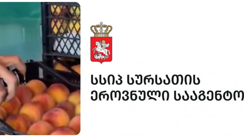სურსათის ეროვნული სააგენტო სურსათის ეროვნული სააგენტო