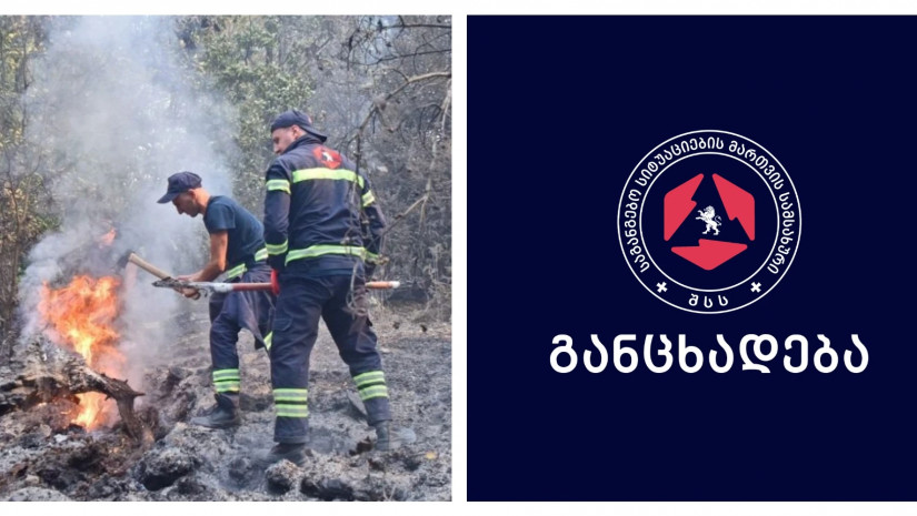 საგანგებო სიტუაციების