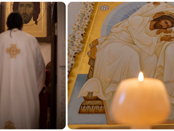 თეოდორე გიგნაძე