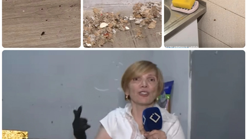 მადონა კოიძე