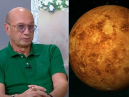 მიხეილ ცაგარელი