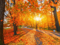 ამინდი - მზიანი