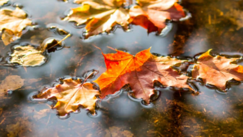 ამინდი  ამინდი  