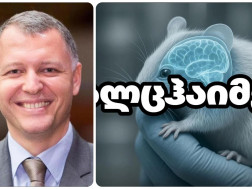 გიორგი ფხაკაძე