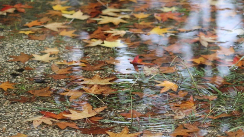 შემოდგომის ამინდი