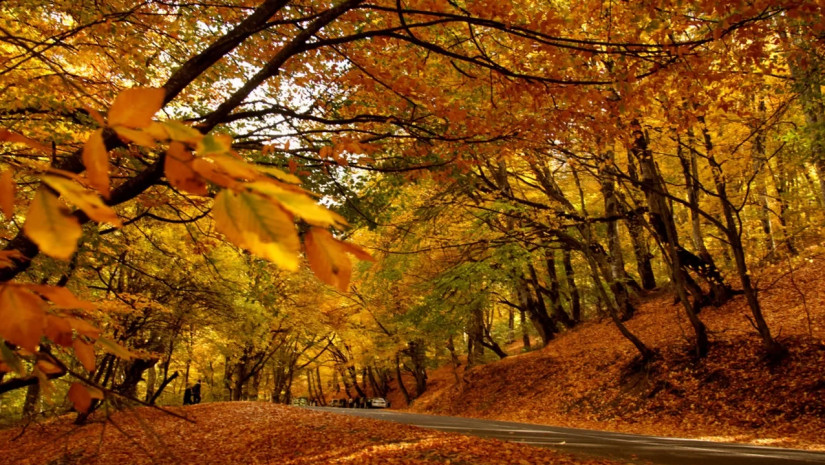 შემოდგომის ამინდი