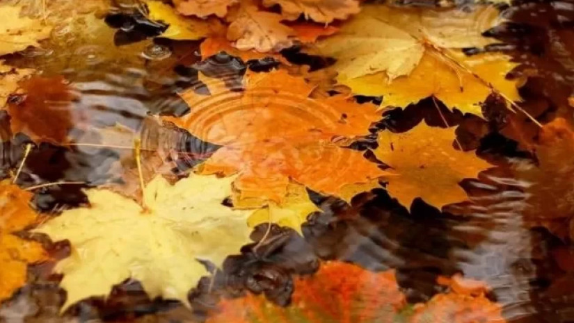 შემოდგომის ამინდი