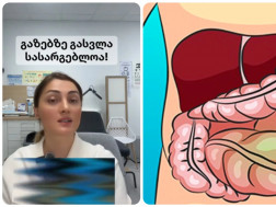  თეა ნოდია 