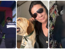 მანანა გიორგობიანი დააკავეს