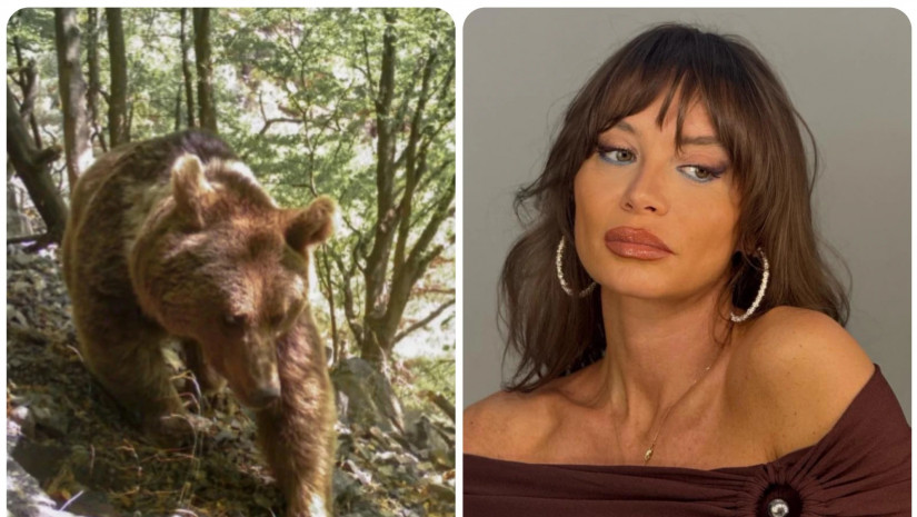 ეკო ფანგანი  