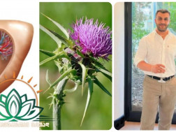 მამუკა რაშოიანი