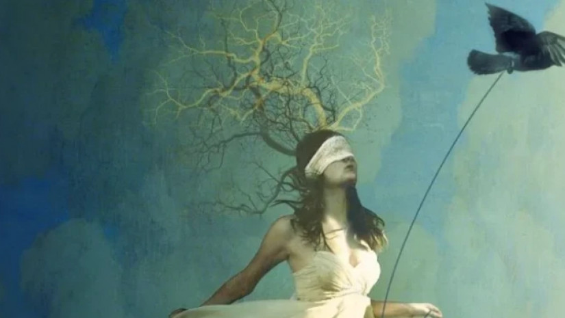 თქვენი ინტუიცია 