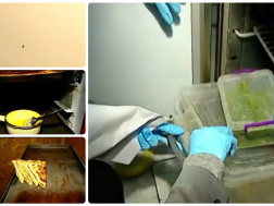  სწრაფი კვების ობიექტები 