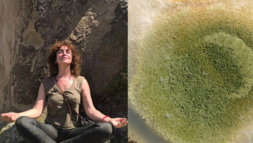 ლალო გელაშვილი