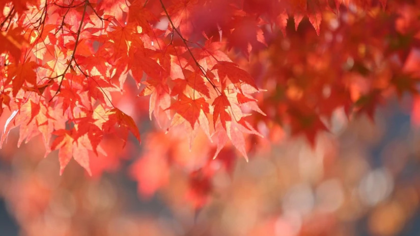 ამინდი - ამინდი