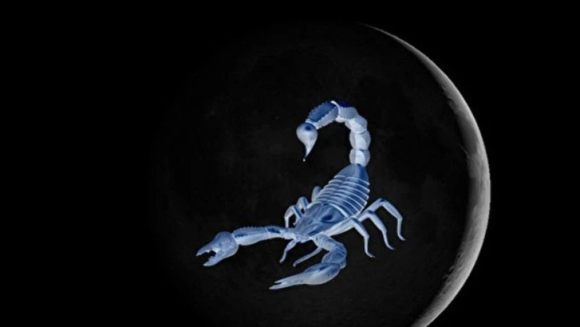 მორიელის ნიშანში ახალი მთვარე  