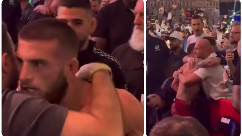 ალექსანდრე თოფურია