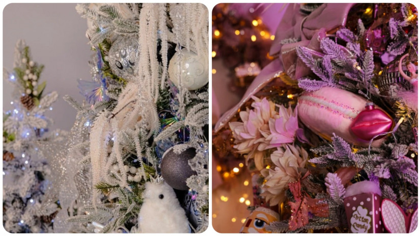 ნაძვის ხეე