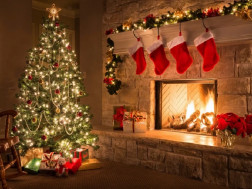 ნაძვის ხეე