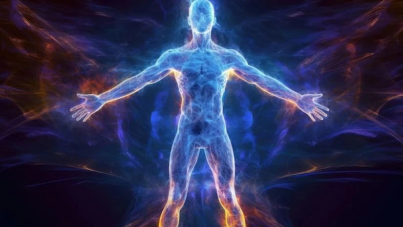 ადამიანი - ადამიანი