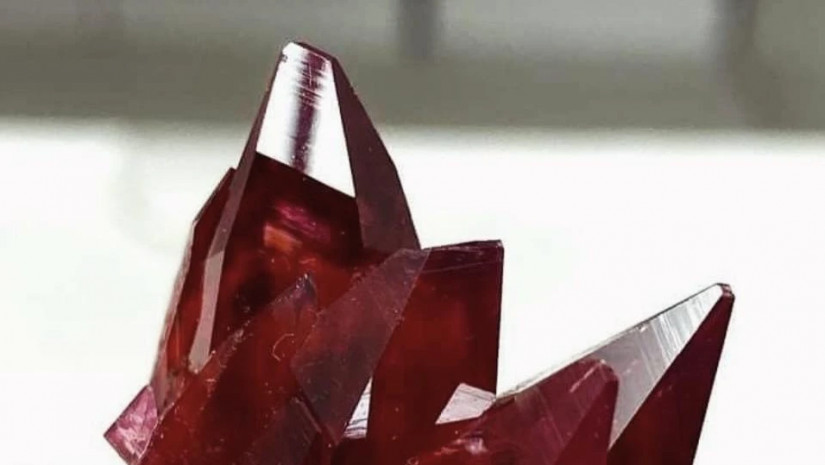 მეტაფიზიკური პროგნოზი