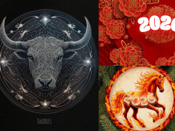 კუროები და 2026