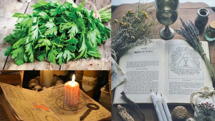 ოხრახუში და მაგია