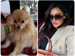 შორენა ბეგაშვილი 