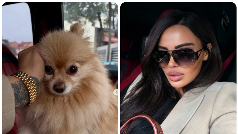 შორენა ბეგაშვილი 