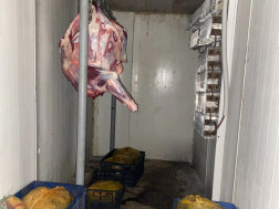 სურსათის სააგენტო