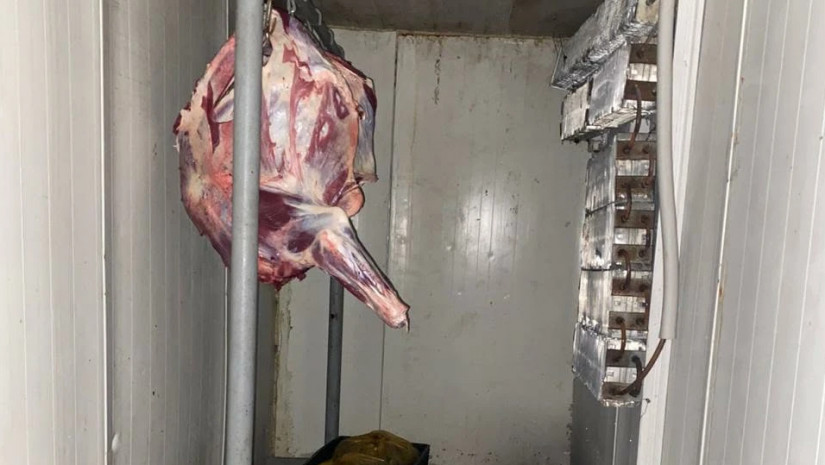 სურსათის სააგენტო