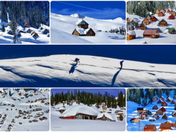 გიორგი ნიკოლავა