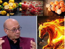 მიხეილ ცაგარელი 