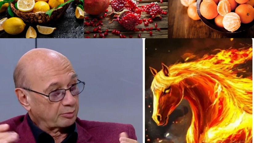 მიხეილ ცაგარელი 