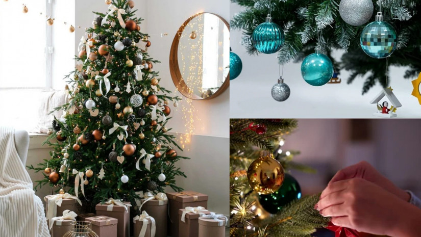 ნაძვის ხენაძვის ხე