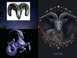  თხის რქია